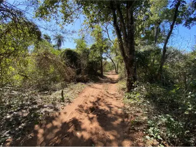 Terreno à venda de 3.974 m² em Isla Valle, Areguá 4