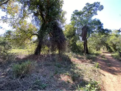 Terreno à venda de 3.974 m² em Isla Valle, Areguá 5