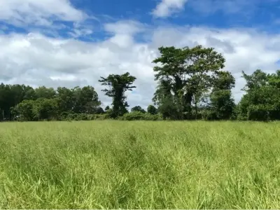 Terreno de 399 hectares à venda em San Pedro 3