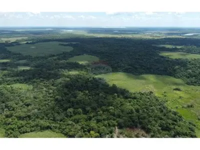 Terreno de 399 hectares à venda em San Pedro 4