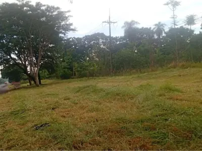 4 ha land for sale in Guayaibí, San Pedro 2