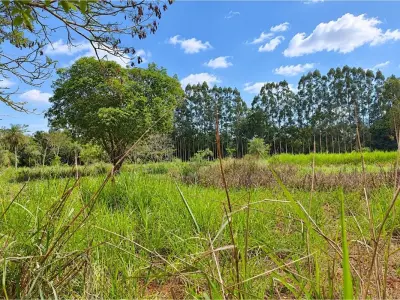 Terreno de 4 hectares à venda em Guarambaré, Central 4