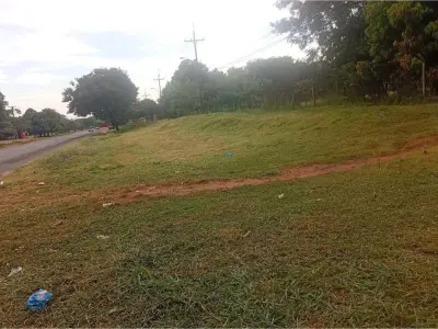 Terreno de 4 hectáreas en venta en Guayaibí, San Pedro 3