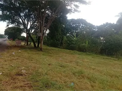 Terreno de 4 hectáreas en venta en Guayaibí, San Pedro 5