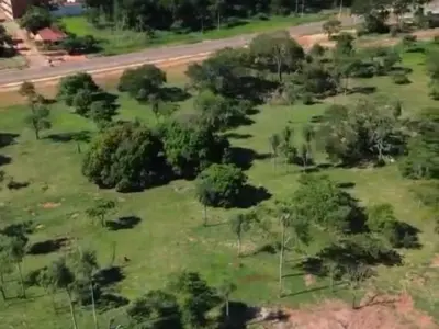 Terreno de 4 hectáreas en venta en Sagrada Familia, Horqueta 3