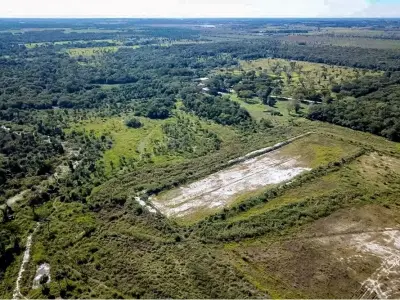 Terreno de 40 hectáreas en venta en Benjamín Aceval 3