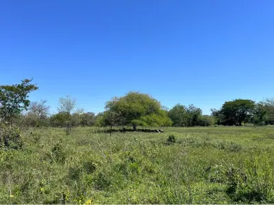 Terreno à venda em Nueva Asunción – 41.529 m² 2