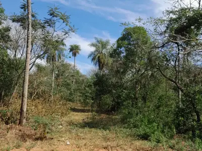 Terreno de 420 m² em Altos, perto de Ciervo Cua 3