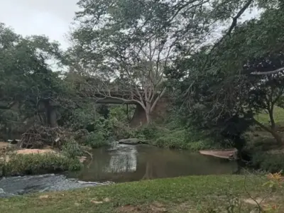 Terreno de 420 m² à venda em Caacupé, Cordillera 5
