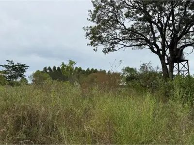 Terreno à venda em Nueva Italia, Central - 4,7 ha 4