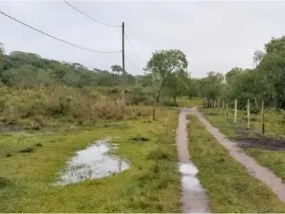 Terreno de 5 ha en venta en Altos, Cordillera 3
