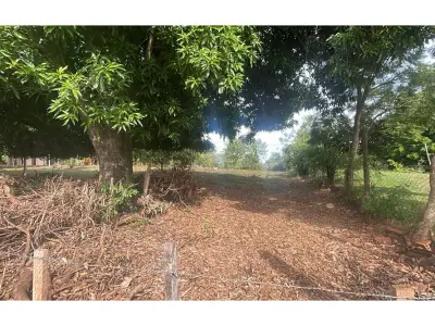 Terreno de 5 hectáreas en venta en Caaguazú 3