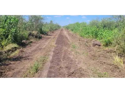 Terreno de 5 hectares à venda em Chaco'i, Puerto Falcón 4