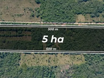 Terreno de 5 hectáreas en venta en Eusebio Ayala, Cordillera 3