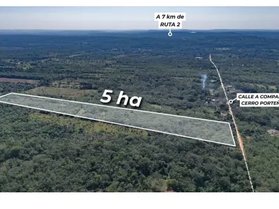 Terreno de 5 hectáreas en venta en Eusebio Ayala, Cordillera 4