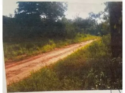 Terreno de 5 hectáreas en venta en Santaní 3