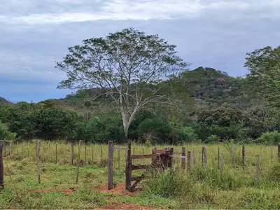 Terreno de 5 hectáreas en venta en Yaguarón 4