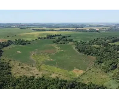 Terreno de 50 hectares à venda em Capitán Miranda 4