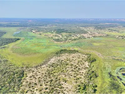 Terreno de 50 hectares à venda em José Falcón 3