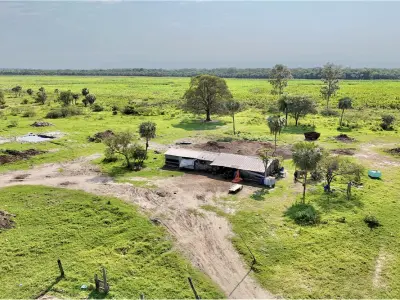 Terreno de 50 hectares à venda em José Falcón 4
