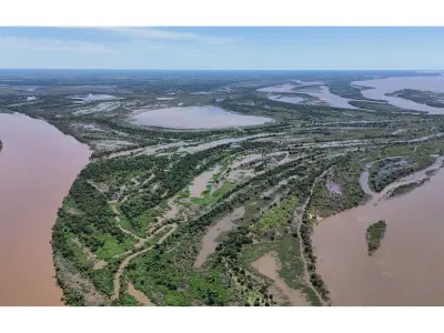 Terreno de 500 hectares à venda no Rio Paraná 5