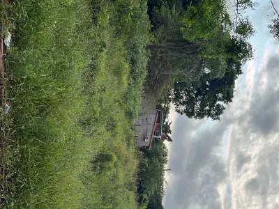 Terreno de 500 m² à venda em Salinas, Ñemby 3