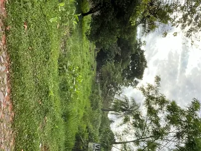 Terreno de 500 m² à venda em Salinas, Ñemby 4