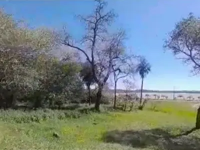 Terreno de 5.000 m² en venta en Encarnación, General Caballero 4