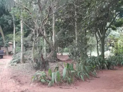 Terreno de 5.000 m² à venda em San Bernardino, Cordillera 3