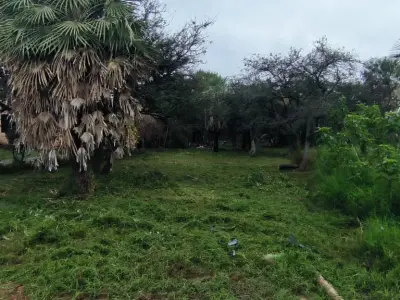 Terreno de 504 m² em Santa Lucía, Limpio 4