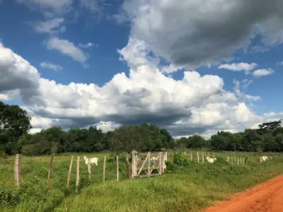 52-Hectare Land for Sale in Ybycuí, Paraguarí 3