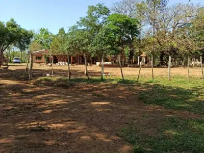 52-Hectare Land for Sale in Ybycuí, Paraguarí 4