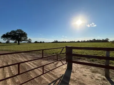 6-hectare land for sale in Filadelfia, Boquerón 3