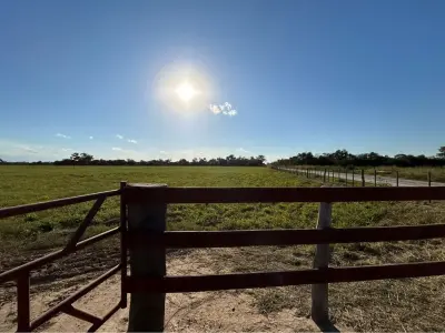 6-hectare land for sale in Filadelfia, Boquerón 4