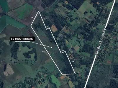 62-hectare land for sale in Coronel Bogado 3