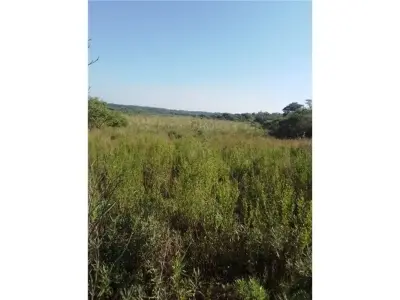 62-hectare land for sale in Coronel Bogado 2