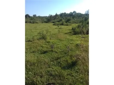 62-hectare land for sale in Coronel Bogado 4