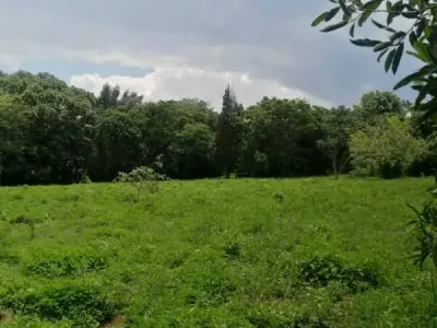 Terreno de 6,3 hectáreas en venta en Maramburé, Luque 2