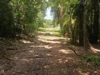 Terreno de 6,3 hectáreas en venta en Maramburé, Luque 3