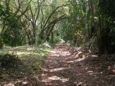 Terreno de 6,3 hectáreas en venta en Maramburé, Luque 4