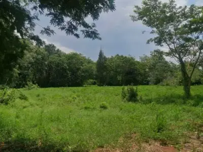 Terreno de 6,3 hectáreas en venta en Maramburé, Luque 5