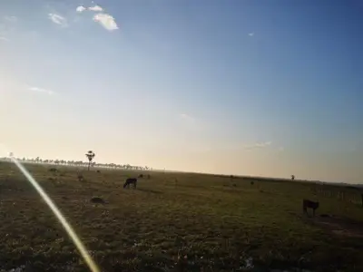 Terreno de 7 hectáreas en venta en Benjamín Aceval 3