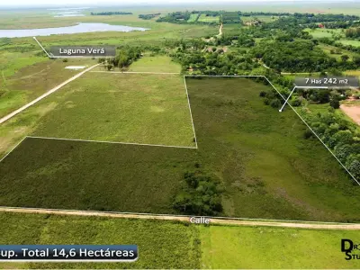 Terreno de 7 hectáreas en venta en Nueva Italia 2