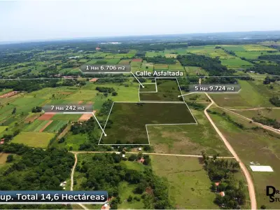 Terreno de 7 hectáreas en venta en Nueva Italia 5