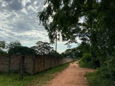 7,080 m² Land for Sale in Zárate Isla, Luque 2