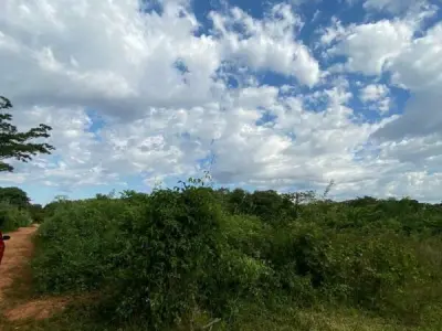 7,080 m² Land for Sale in Zárate Isla, Luque 4