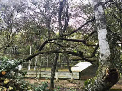 Terreno de 7,5 ha à venda em Coronel Oviedo, Caaguazú 3