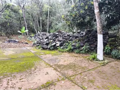 Terreno de 7,5 ha à venda em Coronel Oviedo, Caaguazú 4
