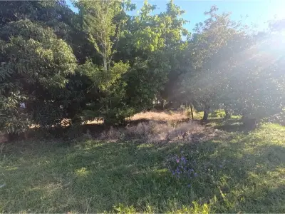 Terreno de 750 m² à venda em Fram, Itapúa 4