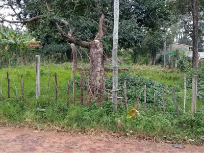 Terreno à venda em Itauguá, Central - 750 m² 3